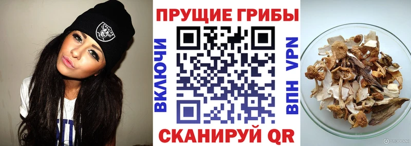 Галлюциногенные грибы мицелий  Ачхой-Мартан 